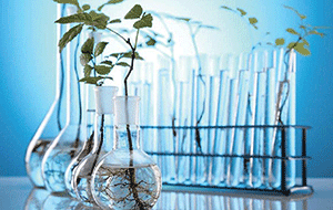 實驗室超純水機春季使用應當注意哪些?