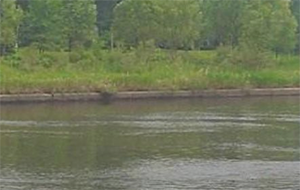 水的硬度是什么意思?