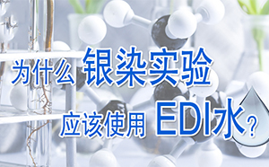 為什么銀染實驗要用EDI水?