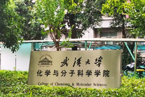 武漢大學化學與分子科學院
