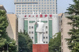 武漢大學醫院部