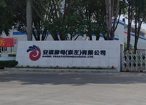 安琪酵母(崇左)有限公司