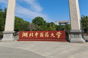 湖北中醫藥大學實驗室超純水機